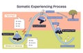 Somatic experiencing process flow mapping regulation to dysregulation and recovery ... Royalty Free Stock Photo