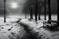 A somber, monochrome January landscape, trees shrouded in winters sorrow