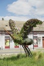 Sombor,Serbia-May 06,2020:Vertical image of a stork.