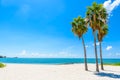 Sombrero Beach with palm trees on the Florida Keys, Marathon, Florida, USA. Tropical and paradise destination for vacation Royalty Free Stock Photo