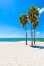 Sombrero Beach with palm trees on the Florida Keys, Marathon, Florida, USA. Tropical and paradise destination for vacation Royalty Free Stock Photo