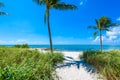 Sombrero Beach with palm trees on the Florida Keys, Marathon, Florida, USA. Tropical and paradise destination for vacation Royalty Free Stock Photo