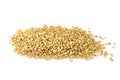 Some barley grains Royalty Free Stock Photo
