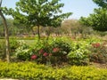 Some of the beautiful gardens around the city of Nagpur