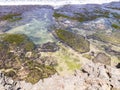 some beautiful rocks and some clinging moss