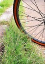 Some bicycle tires parked on the side of the road. Weeds covered some more