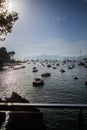 Boats on ocean near trees and rocks Royalty Free Stock Photo