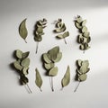 With some branches featuring oval green grey leaves and others featuring Royalty Free Stock Photo