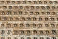 Some of the 10.000 brick statues of the Buddha of excellent carving that are inlaid in the walls of the Po Pagoda of Kaifeng