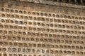 Some of the 10.000 brick statues of the Buddha of excellent carving that are inlaid in the walls of the Po Pagoda of Kaifeng