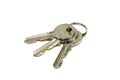 Some brilliant keys Royalty Free Stock Photo
