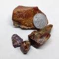 Some Brown stone Fosil wooden stone. Gems stone Royalty Free Stock Photo