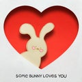 Some bunny loves you.