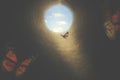 Butterflies fly out of a dark tunnel in search of freedom Royalty Free Stock Photo