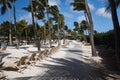 Some call Aruba`s wind a carribean breeze Royalty Free Stock Photo