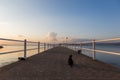 Some cats on a pier at Trasimeno lake Umbria, Italy at sunset