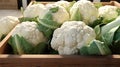 some cauliflowers in a package, marketing style