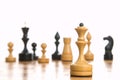 Some chessmen on a chessboard Royalty Free Stock Photo