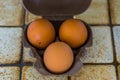Chicken eggs in a small case, popular animal food products, Healthy source of protein