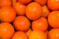 Some clementines are on a white plate
