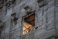 Some Colossseum's windows, Rome, Italy