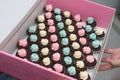 Some colourful cream small pastry cupcakes in a pink box Royalty Free Stock Photo