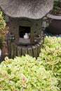 Garden decoration with little bird and birdhouse.