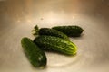 Some cucumbers on the plate
