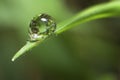 Some dewdrop of water on the tip of a grass Royalty Free Stock Photo