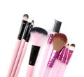 Some different kind of make-up brushes on white.