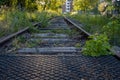 Some disused railway tracks are overgrown with plants Royalty Free Stock Photo