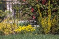 Some flower bed near lake