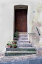 Flower pots adorning steps leading to a charming doorway