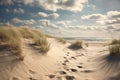 some footprints in the sand by the water and grass to the side Royalty Free Stock Photo