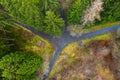 Forest paths and wood stacks from above Royalty Free Stock Photo