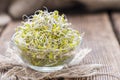 Some fresh Broccoli Sprouts Royalty Free Stock Photo