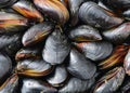 Some fresh and closed organic mussel before