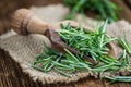 Some fresh Rosemary (close-up shot) Royalty Free Stock Photo