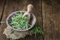 Some fresh Rosemary (close-up shot) Royalty Free Stock Photo