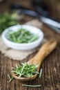 Some fresh Rosemary (close-up shot) Royalty Free Stock Photo