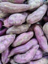 Some fresh sweet potatos on the display Royalty Free Stock Photo