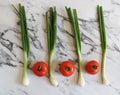 Some fresh tomatoes and spring onion