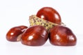 Some fruits of chestnut isolated on white background Royalty Free Stock Photo