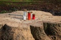 Some grave candles were placed on a freshly sawn off tree stump Royalty Free Stock Photo