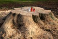 Grave candles were placed on a freshly sawn off tree stump Royalty Free Stock Photo