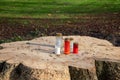 Some grave candles were placed on a freshly sawn off tree stump Royalty Free Stock Photo