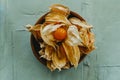 Some groundcherries with their husks