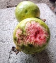 some guava that is eaten by batsÃ¯Â¿Â¼ Royalty Free Stock Photo