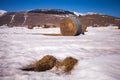 Some hay bales in the snow in Pian grande and Mount Vettore in the background, Castelluccio di Norcia, Umbria, Italy Royalty Free Stock Photo