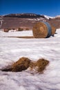 Some hay bales in the snow in Pian grande and Mount Vettore in the background, Castelluccio di Norcia, Umbria, Italy Royalty Free Stock Photo